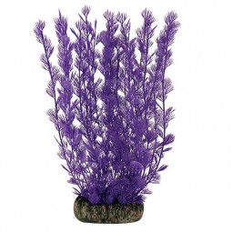 Растение "Аммания" фиолетовая, 200мм