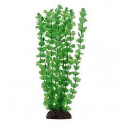 Растение "Бакопа" зеленая, 100мм