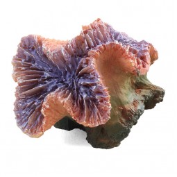 Коралл искусственный 2905LD "Каталофиллия" фиолетовая, 80*70*70мм