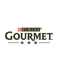 Gourmet