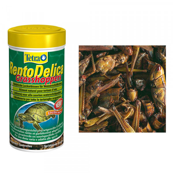 Корм для черепах Tetra ReptoDelica Grasshoppers 250мл деликатес из кузнечиков Корм для черепах Tetra ReptoDelica Grasshoppers 250мл деликатес из кузнечиков