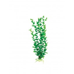Пластиковое растение Бакопа зелёная 10см