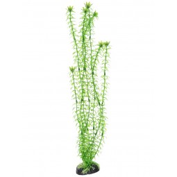 Пластиковое растение Элодея 30см