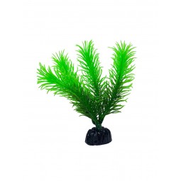 Пластиковое растение Перестолистник 10см