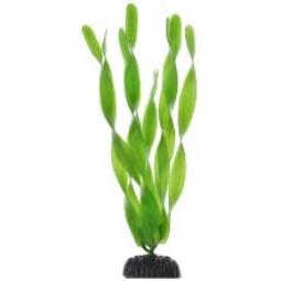 Пластиковое растение Валиснерия широколистная 10см
