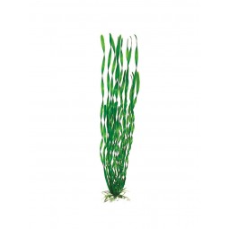 Пластиковое растение Валиснерия спиральная 10см