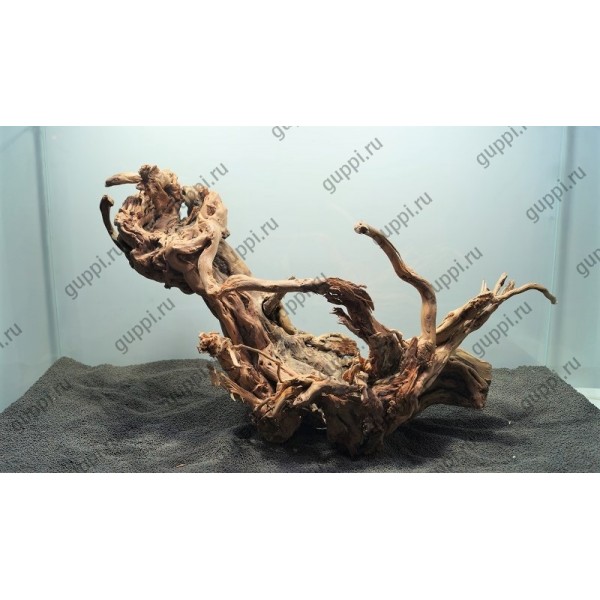 Коряга Antigua (Чечил) 12 48-36-13см