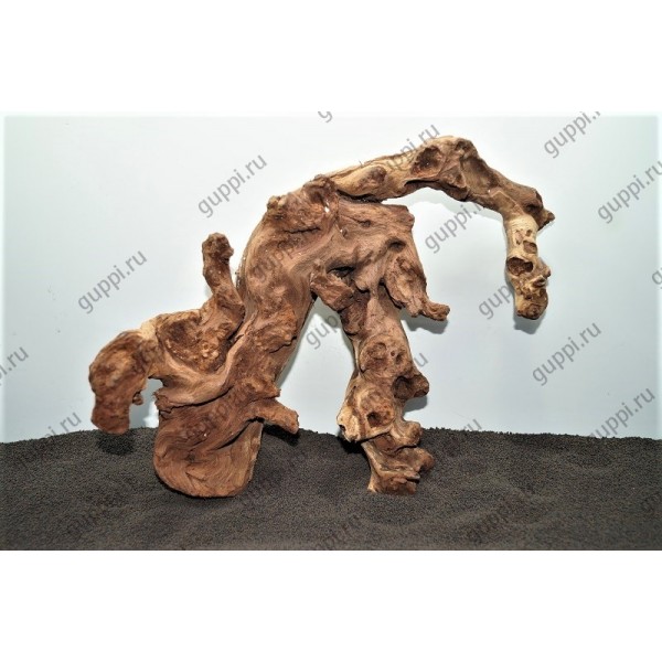 Коряга МОПАНИ 55 25-10-30см